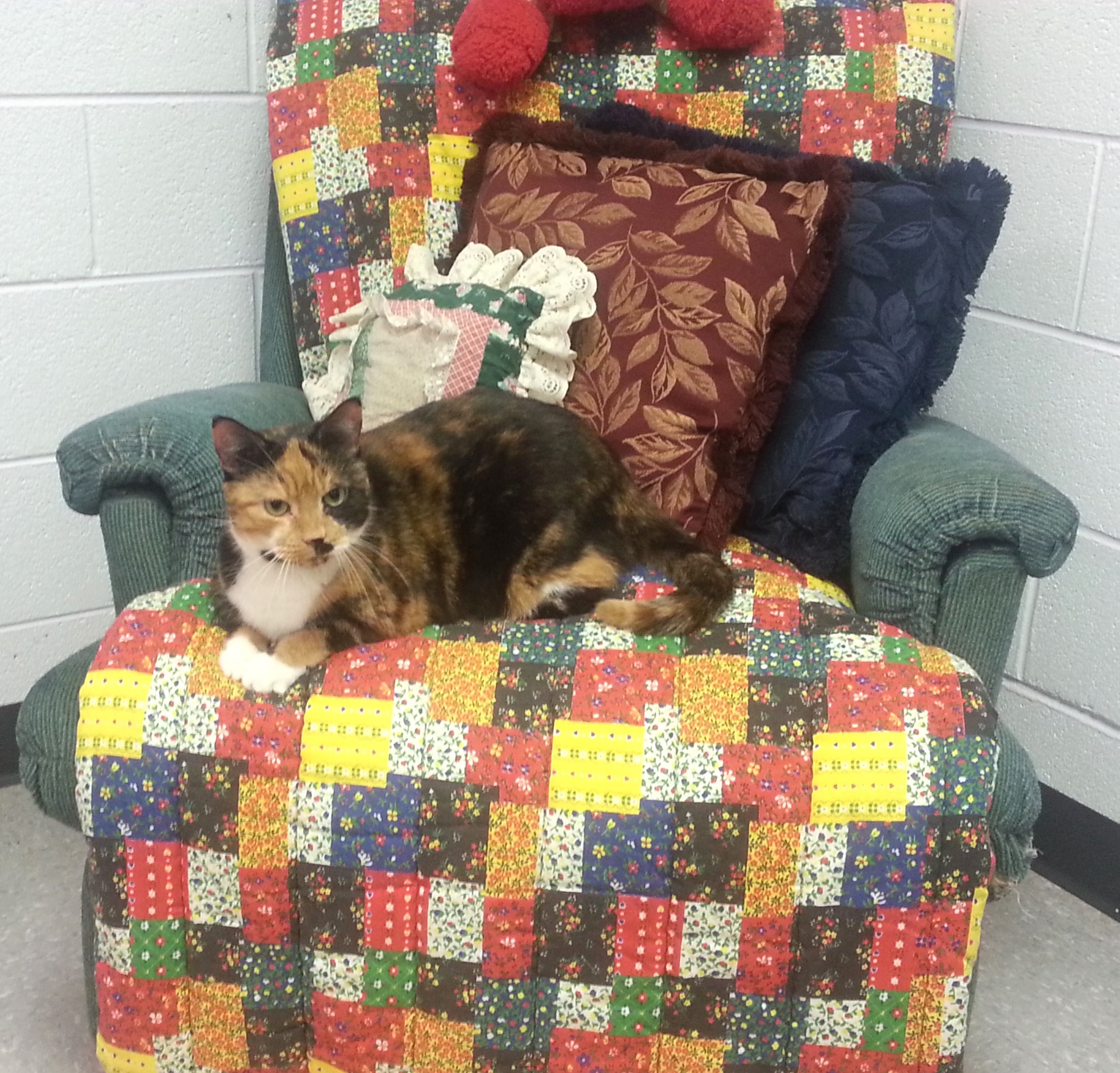 Clementine McGillicutty